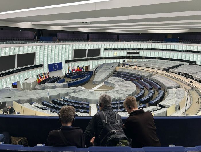 das Europäischen Parlament